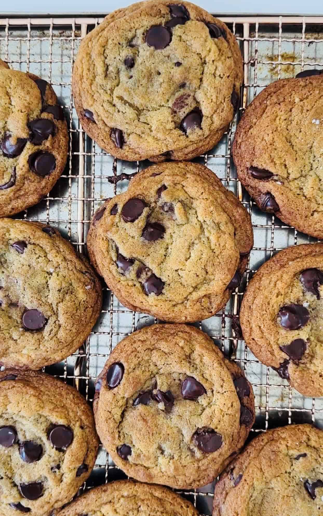 Chocolate Chip Cookies